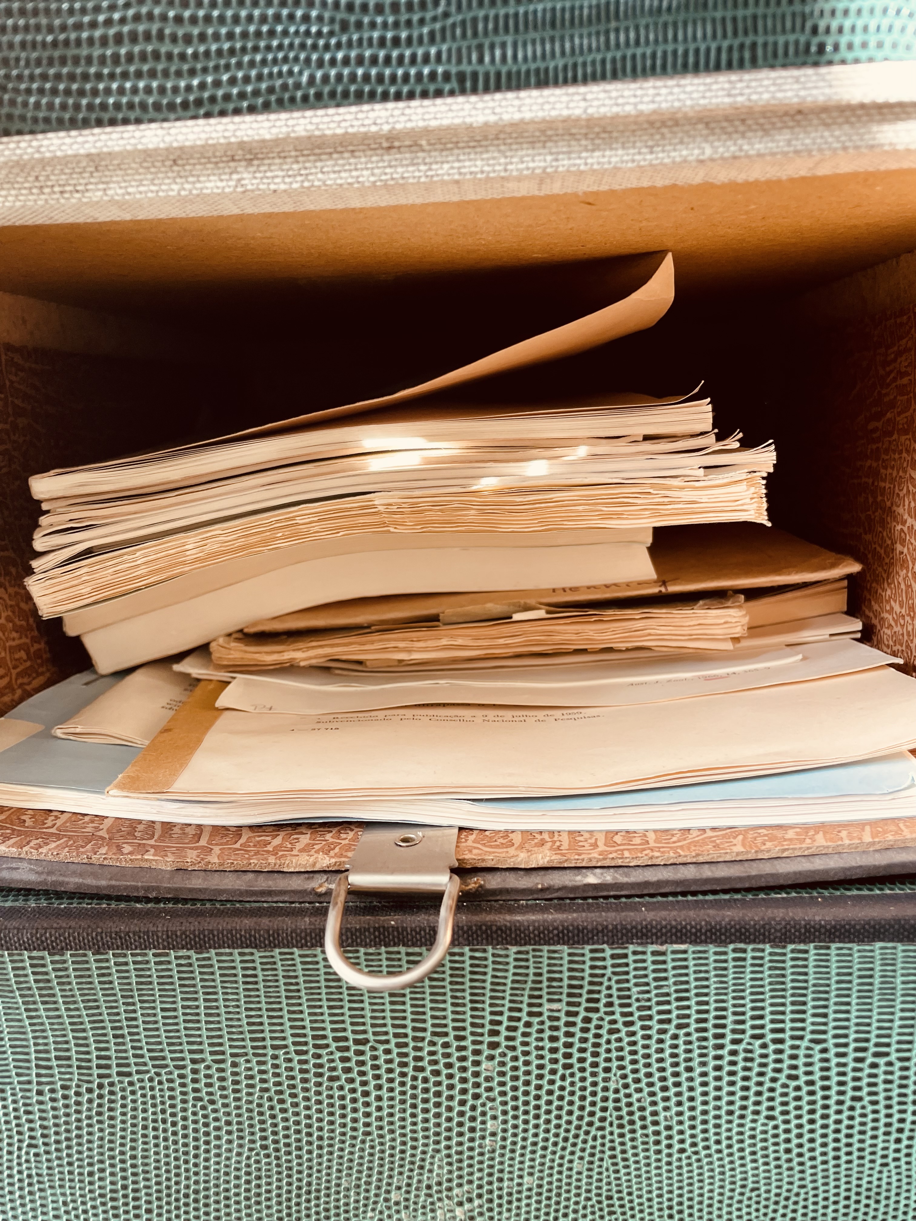 Historical literature stored inside an archival box